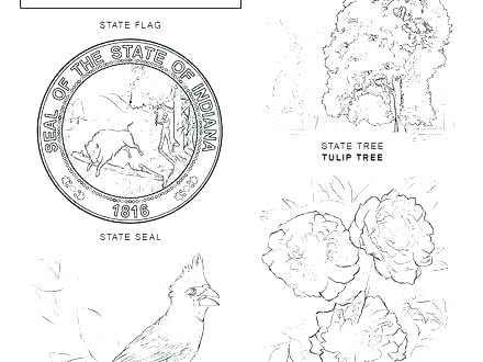 440x330 Texas Flag Coloring - Texas Flag Sketch