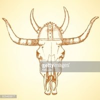 200x200 Sketch Texas Longhorn Steer Stock Vectors - Texas Sketch