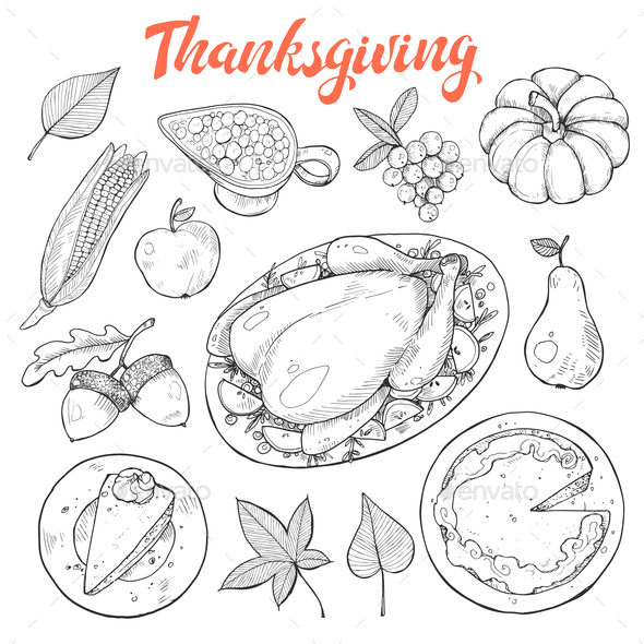 590x590 Thanksgiving Sketches Vector By Ollymolly Graphicriver - Thanksgiving Sketches