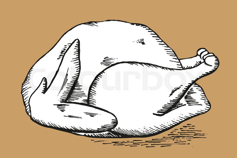800x533 Vector Hand Draw Doodle Sketch Thanksgiving Fried Turkey Stock - Thanksgiving Turkey Sketch