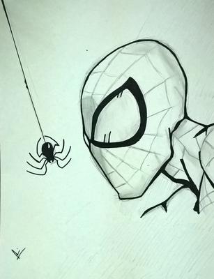 307x400 The Amazing Spider Man - The Amazing Spider Man Sketch