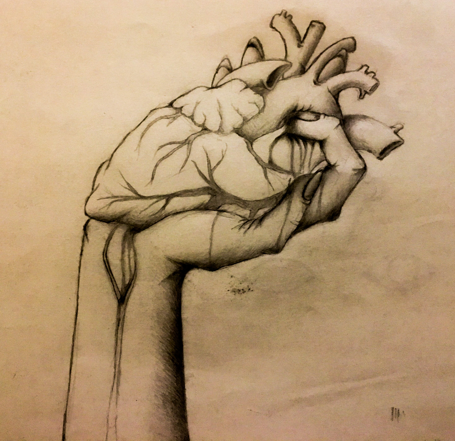 1920x1860 Jenna Olischar - The Heart Sketch