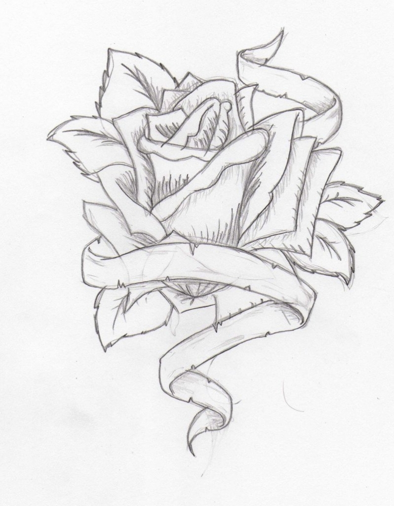 798x1024 Human Heart Drawing With Roses Human Heart Pencil Drawing At - The Human Heart Sketch