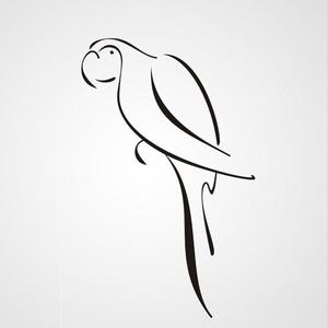 300x300 Parrot Artistic Sketch Big Amp Small Sizes Colour Wall Sticker - The Parrot Sketch