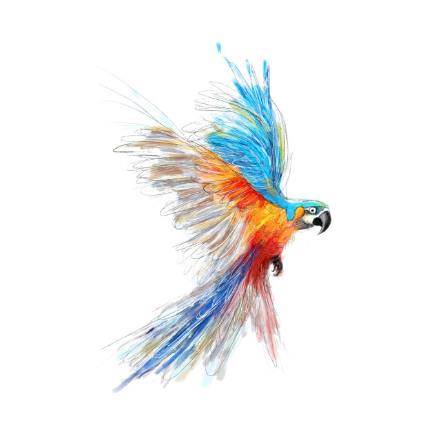 630x630 Parrot Sketch - The Parrot Sketch