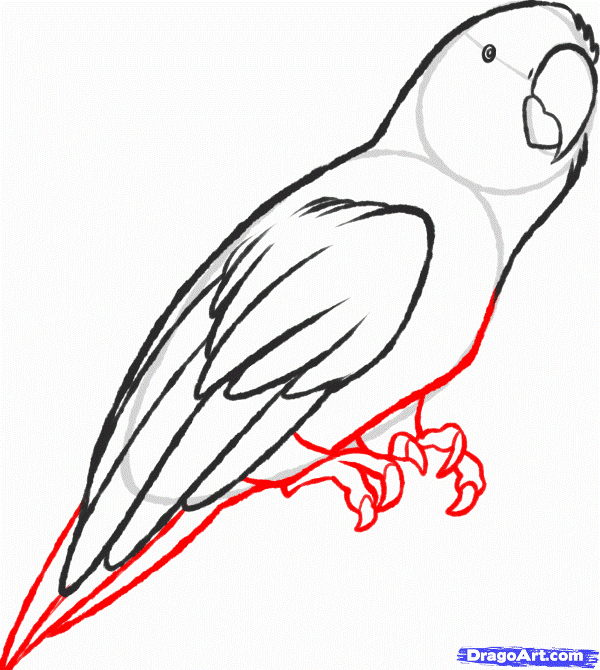 600x670 - The Parrot Sketch