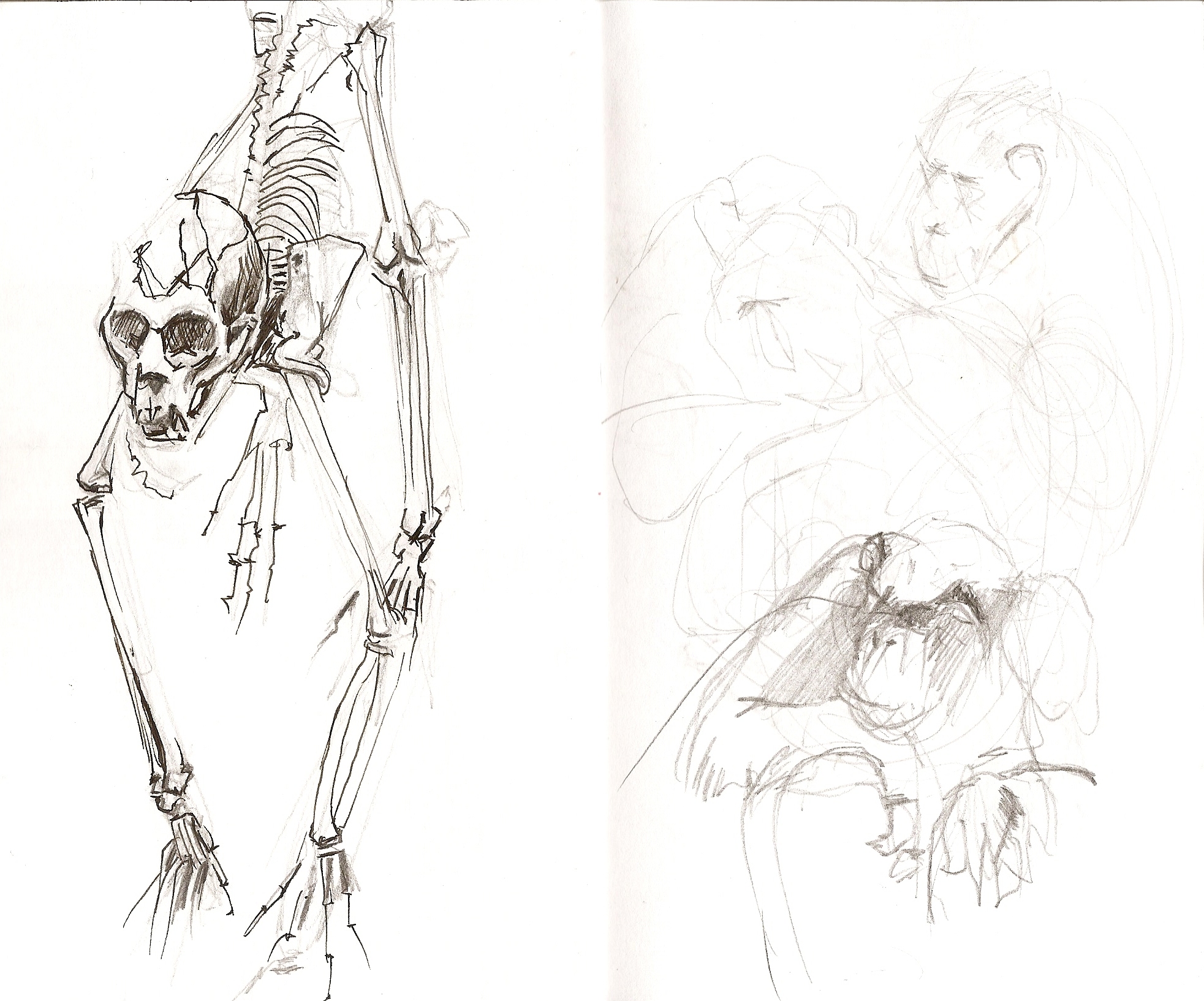 1965x1634 Monkey Business Sketching Monkeys Live - The Sketch Monkey