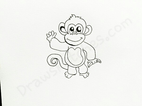 600x450 How To Draw A Monkey In 13 Easy And Detailed Steps With Pictures - The Sketch Monkey