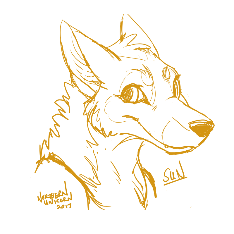 800x800 Sun Sketch! By Rainmelodies - The Sun Sketch