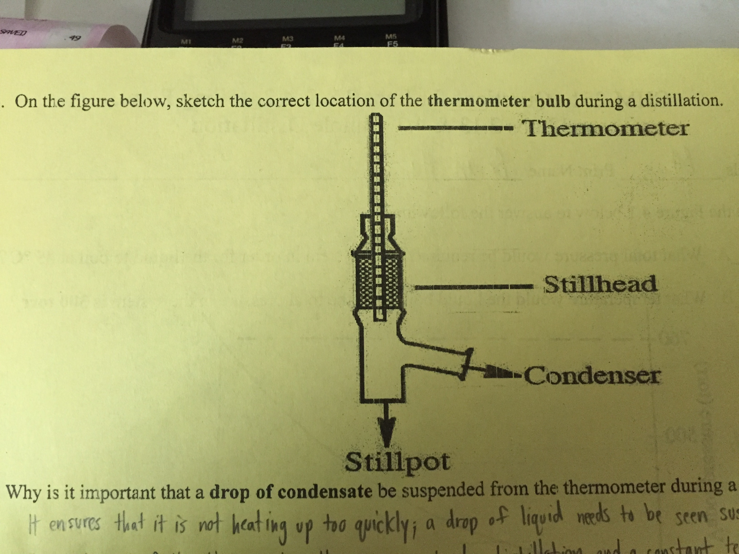 2500x1875 Solved Sketch The Correct Location Of The Thermometer Bul - Thermometer Sketch