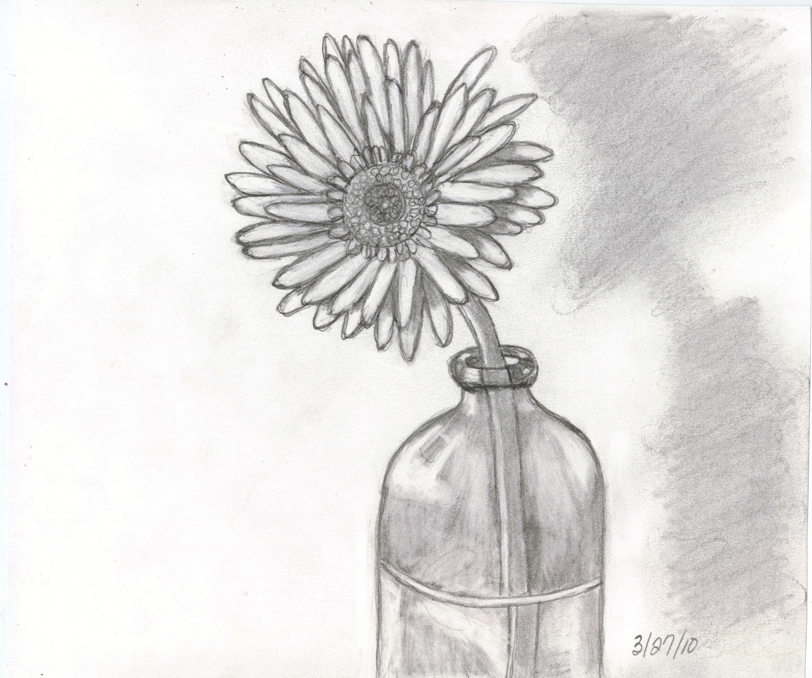 1600x1337 Sketches And Things Flower In A Glass Bottle - Things Sketch