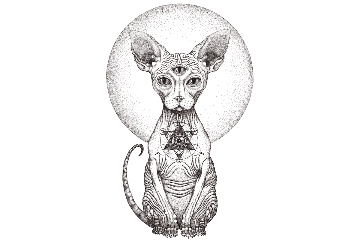 1200x810 The Third Eye On Behance - Third Eye Sketch