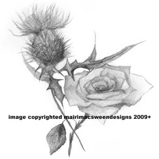 320x320 Mairi Macsween Designs New Thistle Amp Rose Design - Thistle Sketch