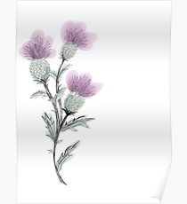210x230 Scottish Thistle Drawing Posters Redbubble - Thistle Sketch