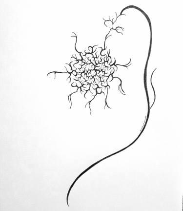 375x432 Thistle Drawing By Dorota Anna Undrych Saatchi Art - Thistle Sketch