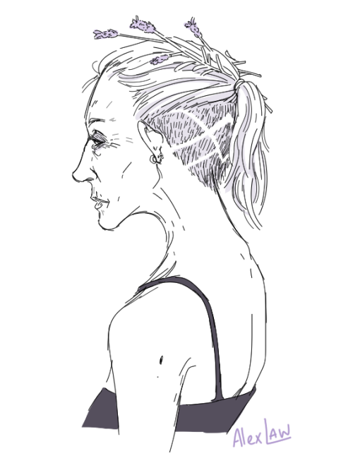 500x656 Thistle Sketch Tumblr - Thistle Sketch