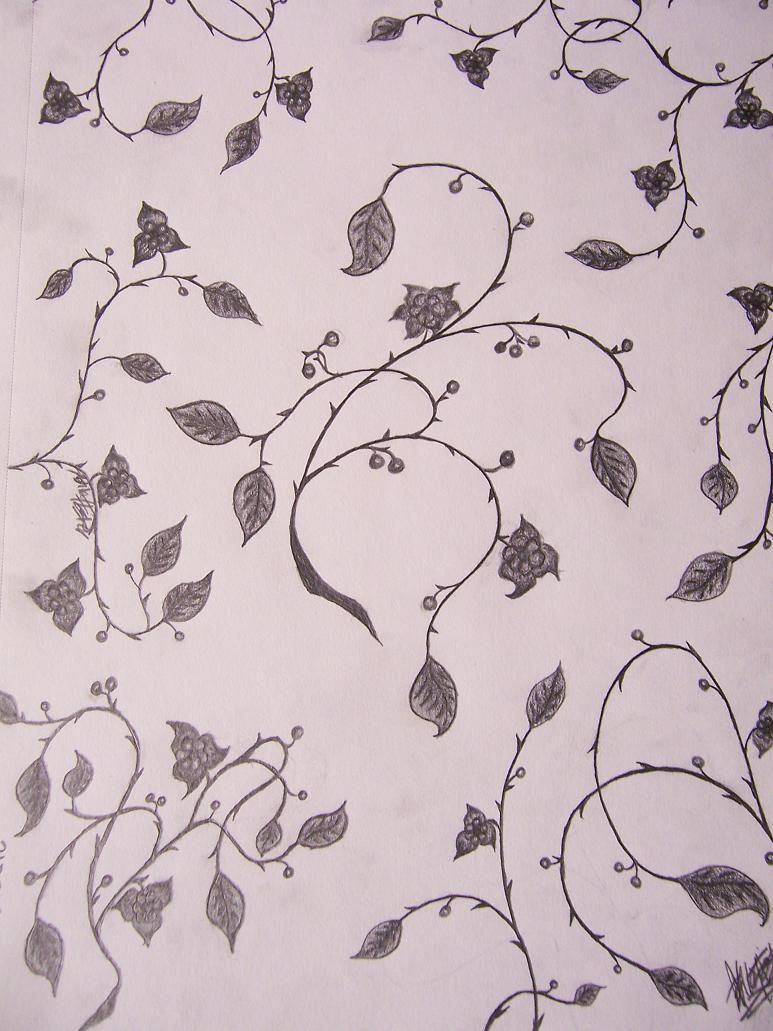 773x1031 Drawings Of Thorny Vines Go Back Gt Images For Gt Vine Of Thorns - Thorn Sketch
