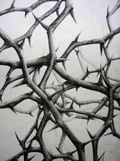 240x320 Hand Drawn Thorns. Very Life Like. The Quality Of The Shading - Thorn Sketch