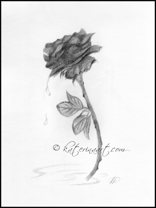 508x677 Sketch Fest! - Thorn Sketch