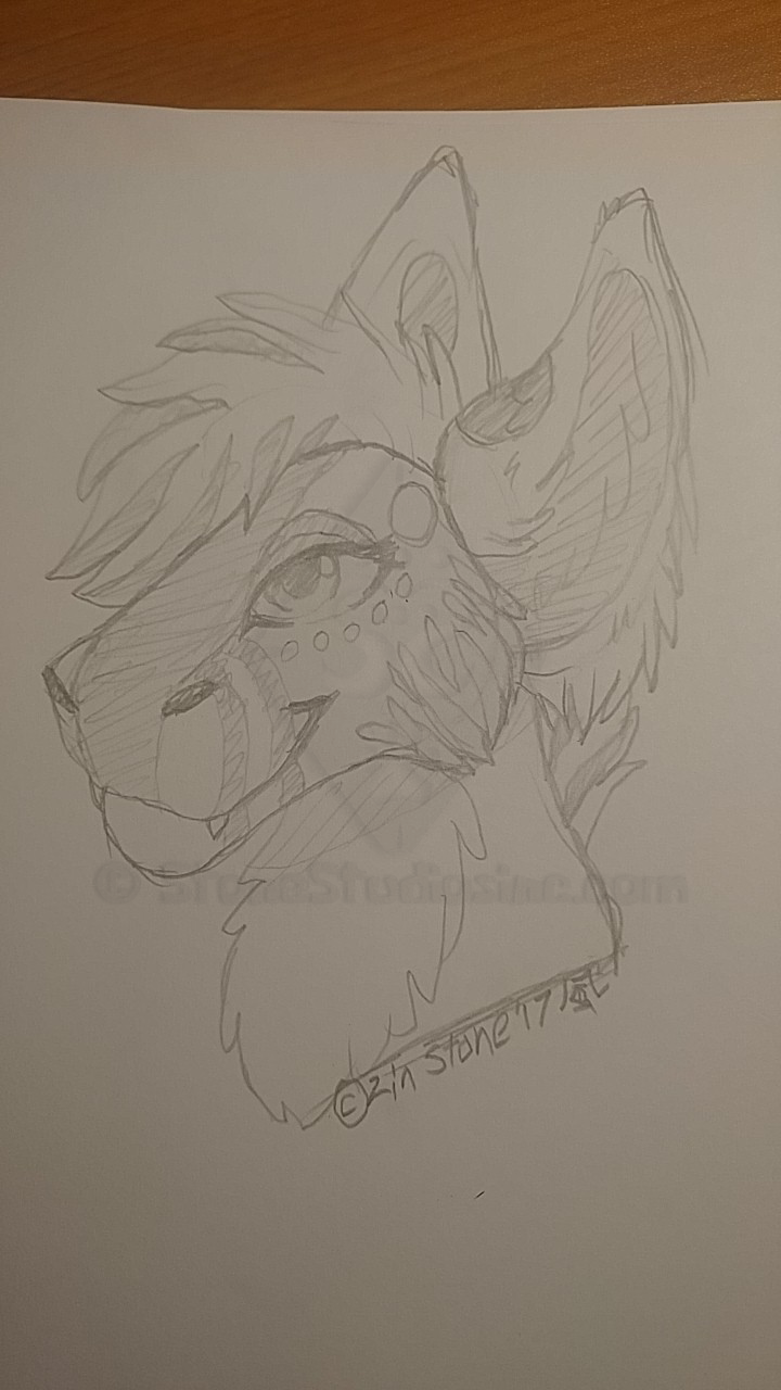 720x1280 Thorn Sketch Gift Weasyl - Thorn Sketch