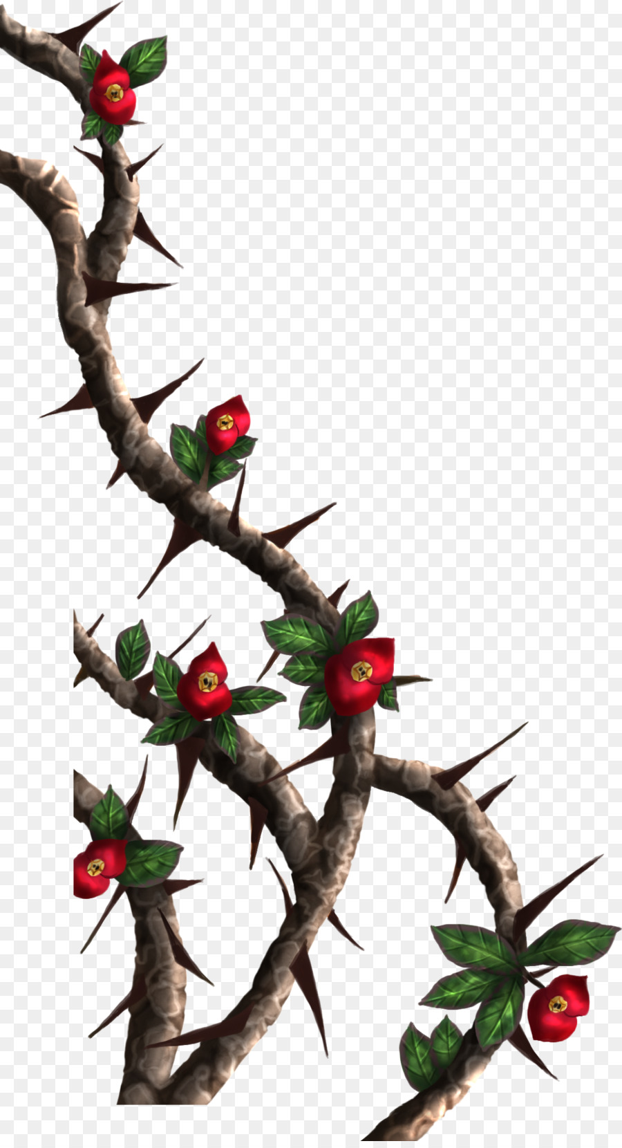 900x1660 Thorns, Spines, And Prickles Rose Crown Of Thorns Drawing Clip Art - Thorn Sketch