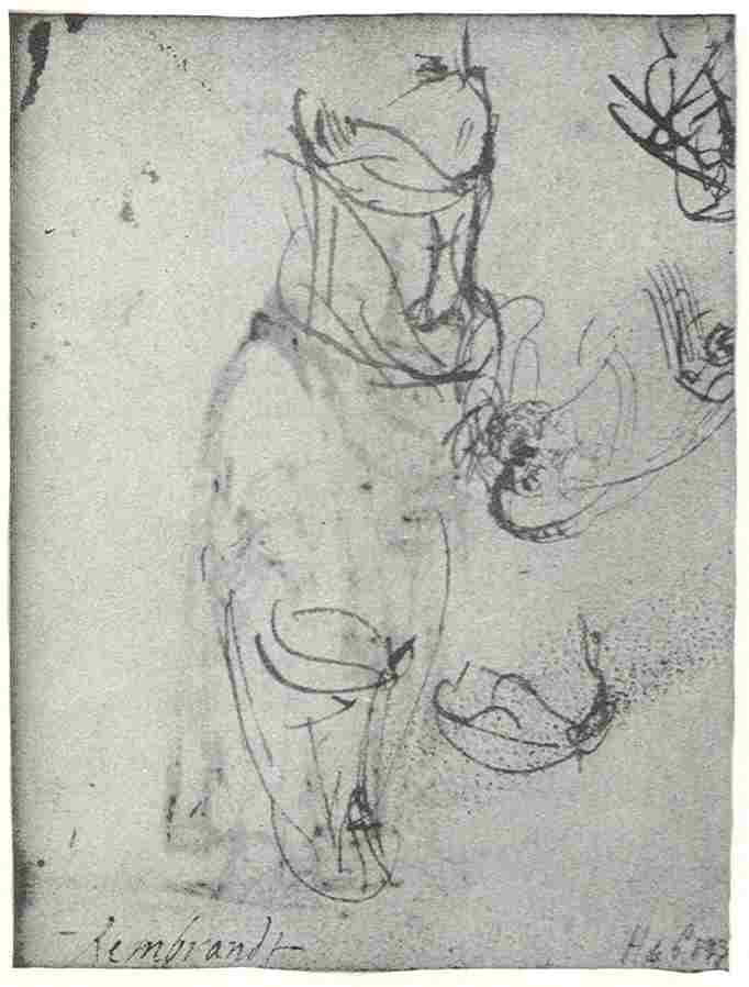 682x898 Filerembrandt Sketch Of A Bearded Old Man And Three Studies Of - Three Sketch