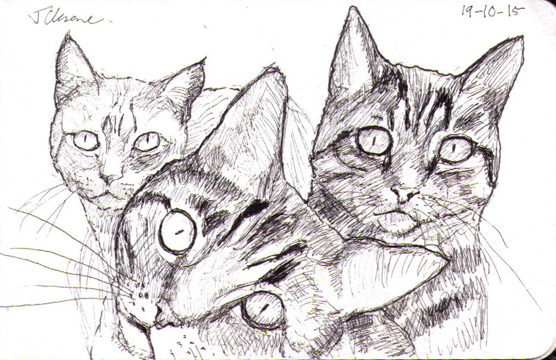 1083x701 Quick Sketch Of Three Crazy Cats One Drawing Daily - Three Sketch