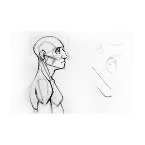 300x300 Outline Drawing Sketch Of Side Profile Of A Human Male Head And - Throat Sketch
