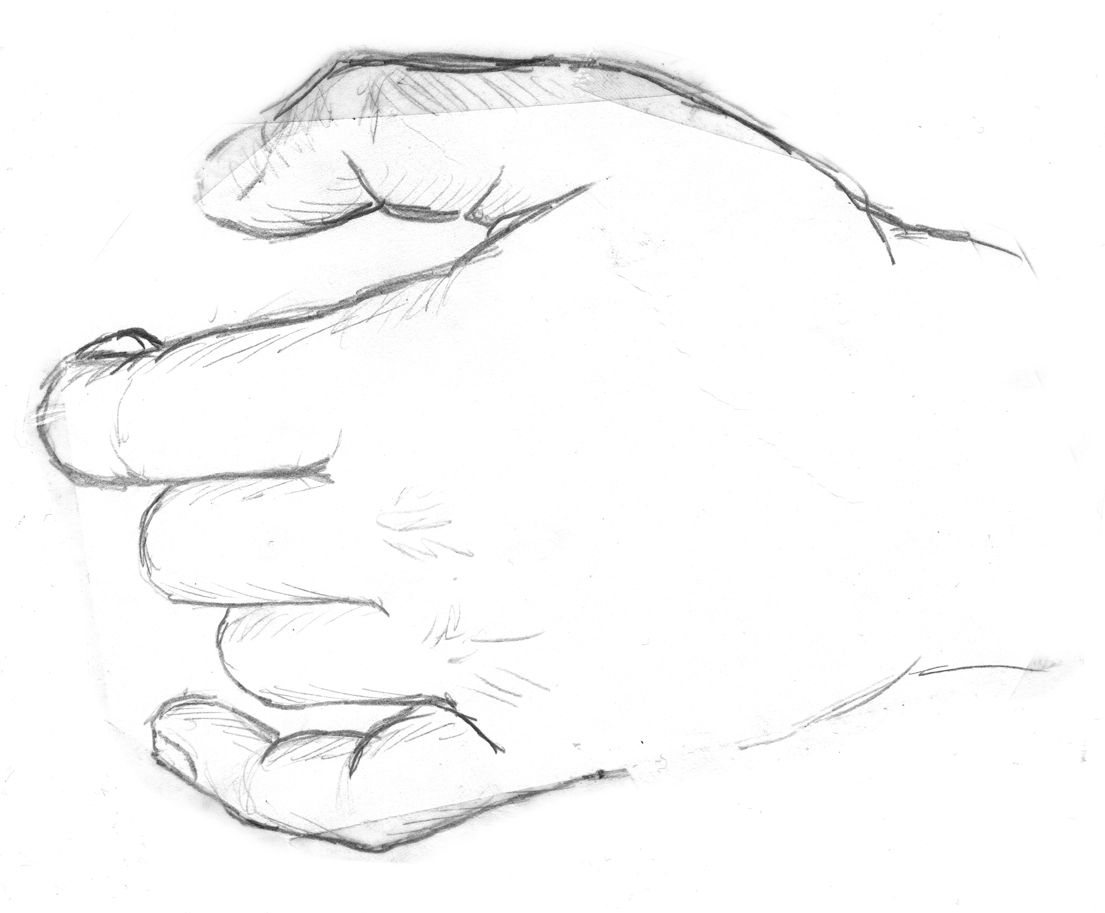 4175x3449 Free Images Black And White, Finger, Arm, Artwork, Nose - Thumb Sketch