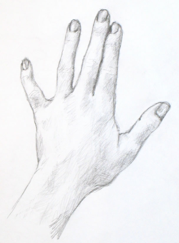 608x826 Drawing Tutorial A Simple Drawing Of Your Hand Portrait Artist - Thumb Sketch