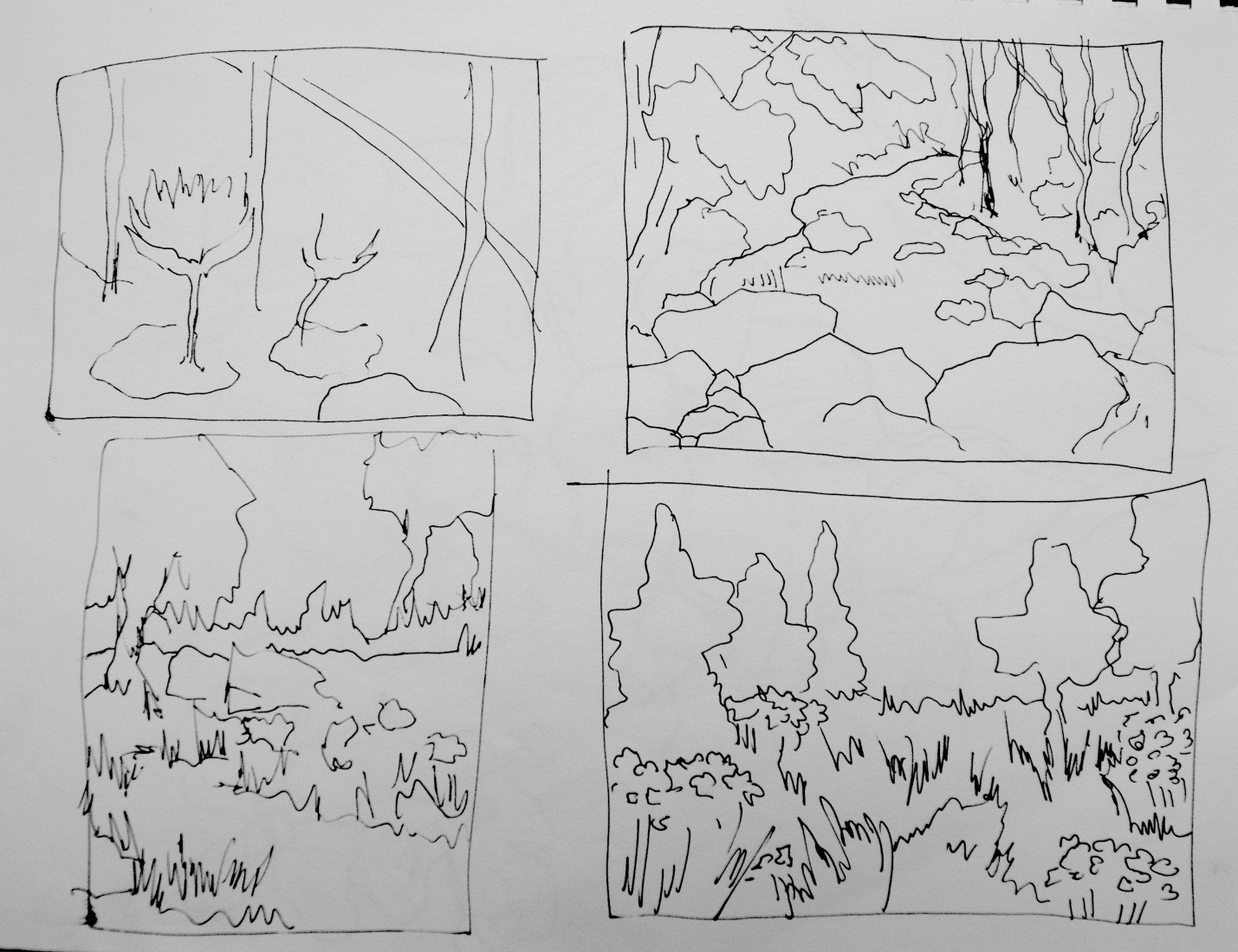 1429x1100 Thumbnail Sketch 3 - Thumbnail Sketch