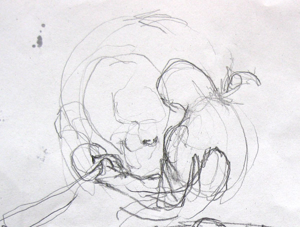 600x453 Thumbnail Sketches The Chronicle - Thumbnail Sketch Definition