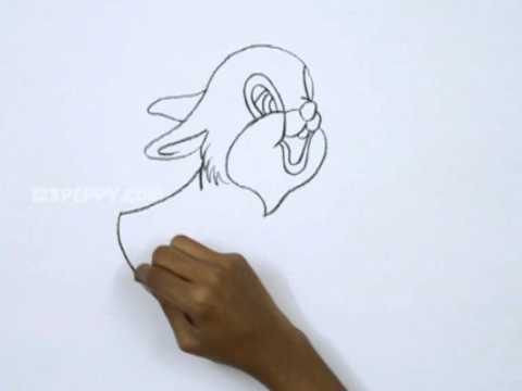 480x360 How To Draw Thumper - Thumper Sketch