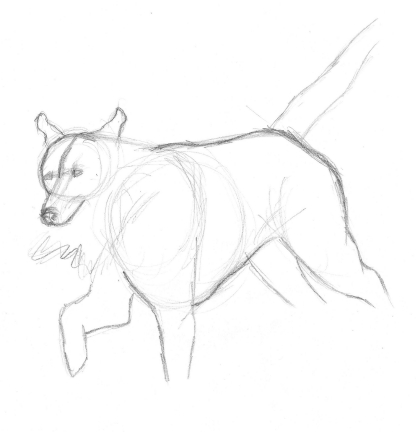 416x432 Sketches American Dog Blog - Thunder Sketch