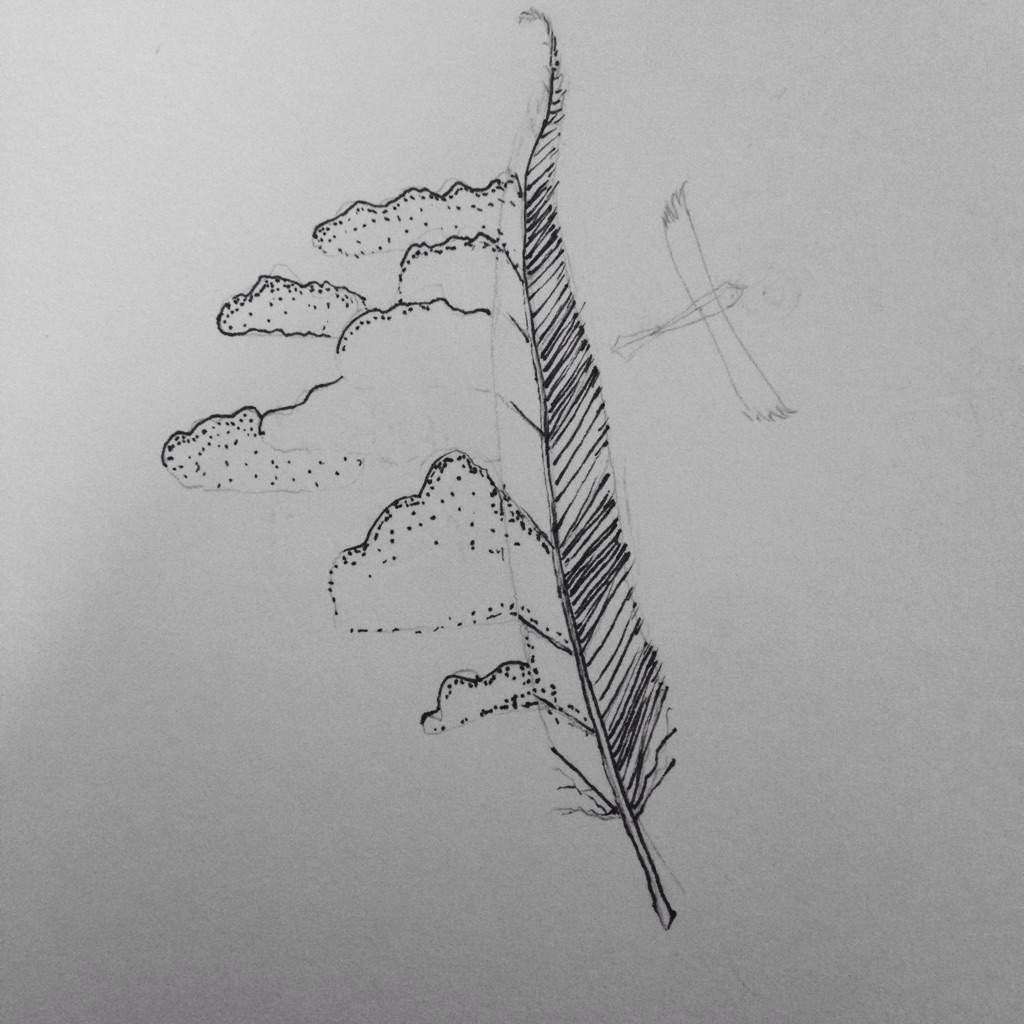 1024x1024 Thunderbird, Horned Serpent And Wampus Interpretations Harry - Thunderbird Sketch