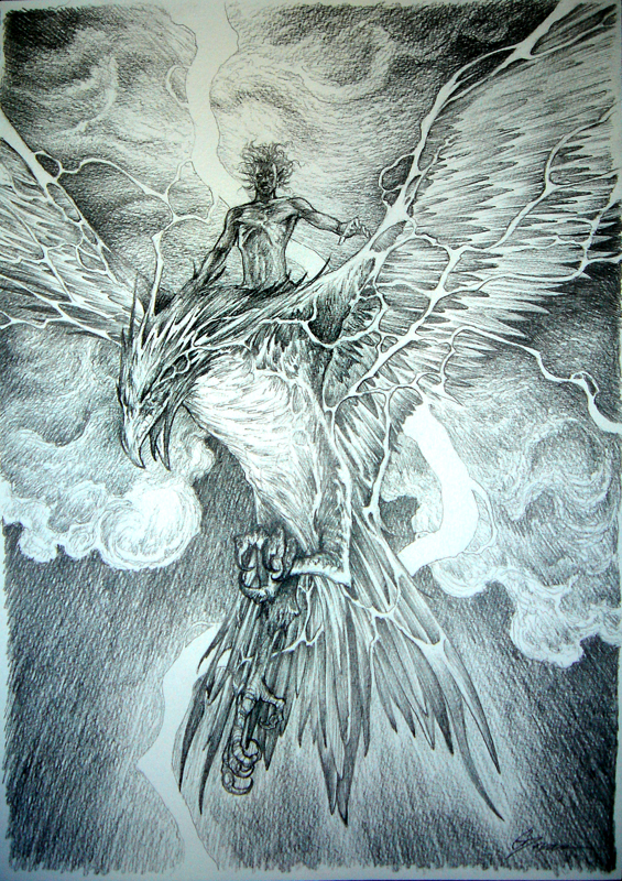 565x800 Thunderbird By Danielgovar - Thunderbird Sketch