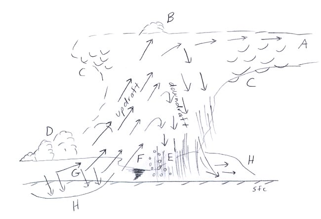 650x444 Severe Thunderstorm Structure - Thunderstorm Sketch
