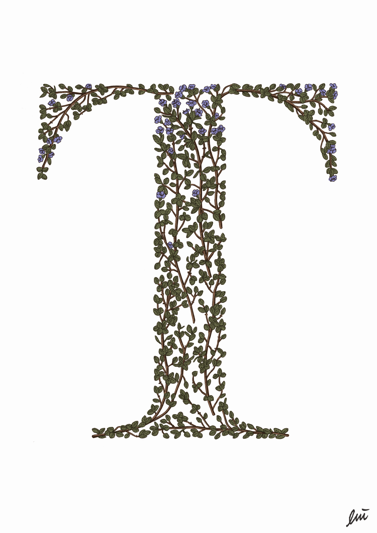 1500x2122 Wong Chi Lui Daily Sketch - Thyme Sketch