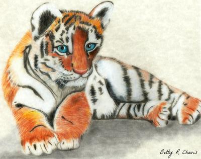 400x316 First Colored Pencil Drawing Of Tiger Cub - Tiger Cub Sketch