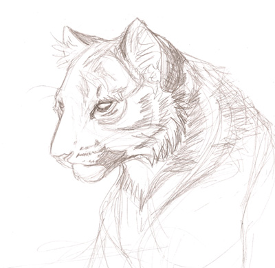 400x390 Tiger Cub Sketch By Akeli - Tiger Cub Sketch