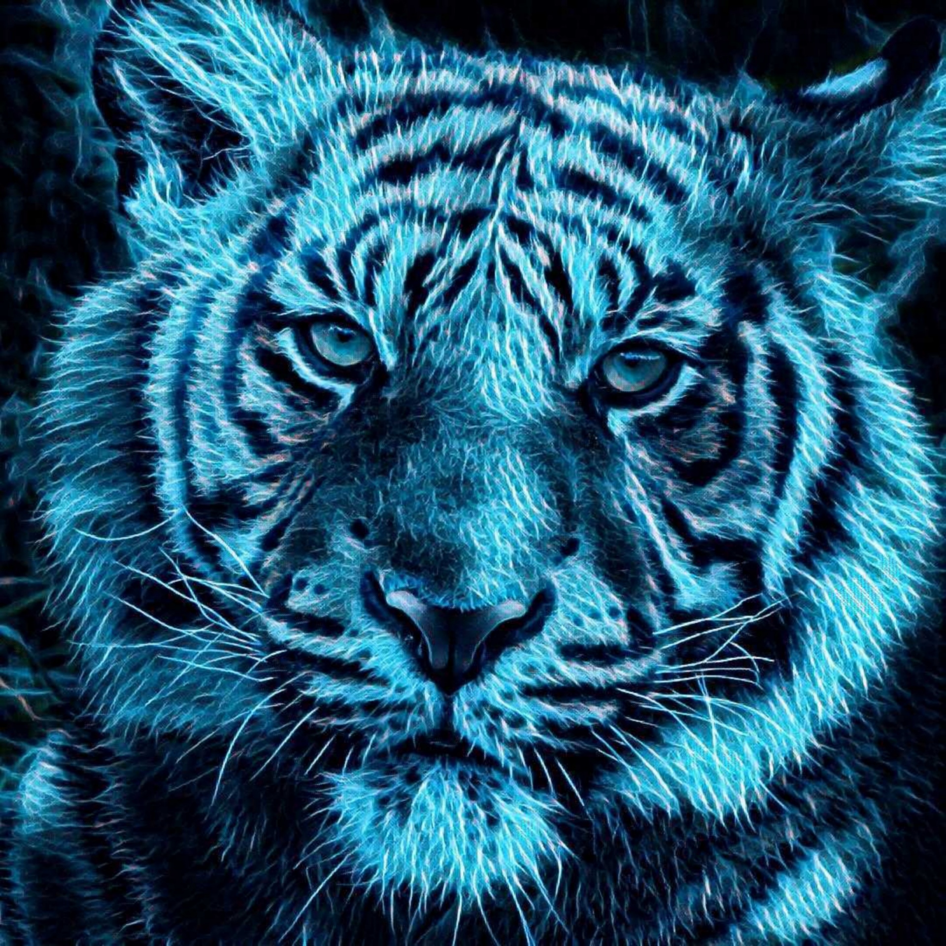 1920x1920 Drawing,tiger,cub,blue,flames - Tiger Cub Sketch