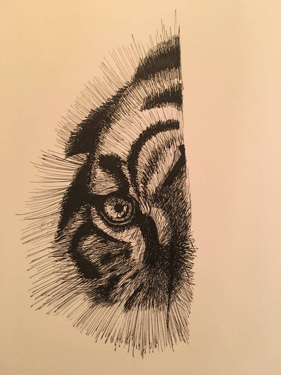 570x760 Tiger Eye Black Ink Sketch Etsy - Tiger Eye Sketch