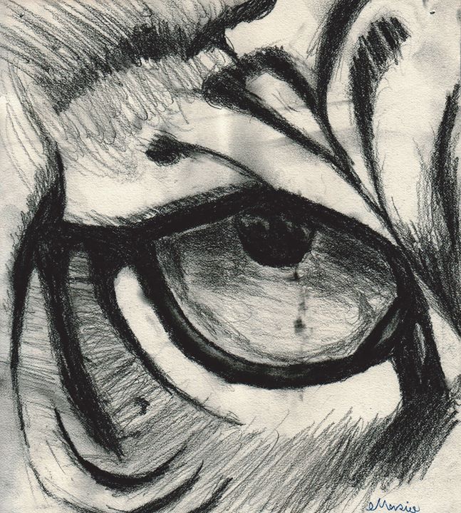 647x720 Tiger Eye By Emokid64 On Newgrounds - Tiger Eye Sketch