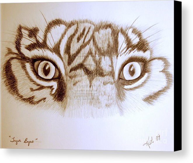 661x557 Tiger Eyes Canvas Print Canvas Art By Art Hill Studios - Tiger Eye Sketch