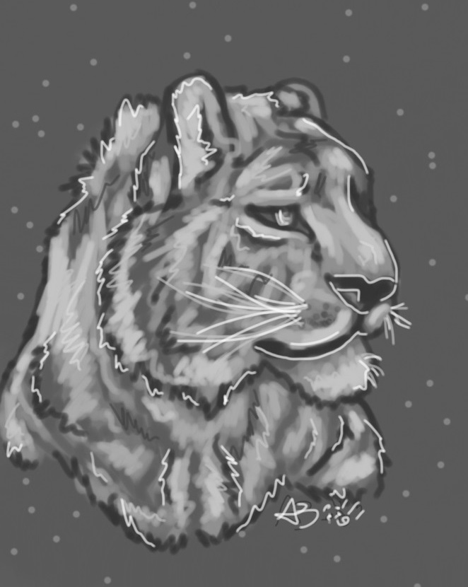 662x830 White Tiger Eye~ By Astarabriarart - Tiger Eye Sketch