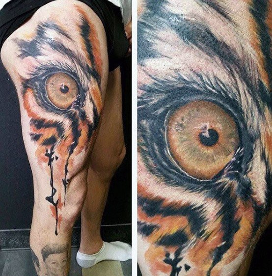 554x562 40 Tiger Eyes Tattoo Designs For Men - Tiger Eye Sketch