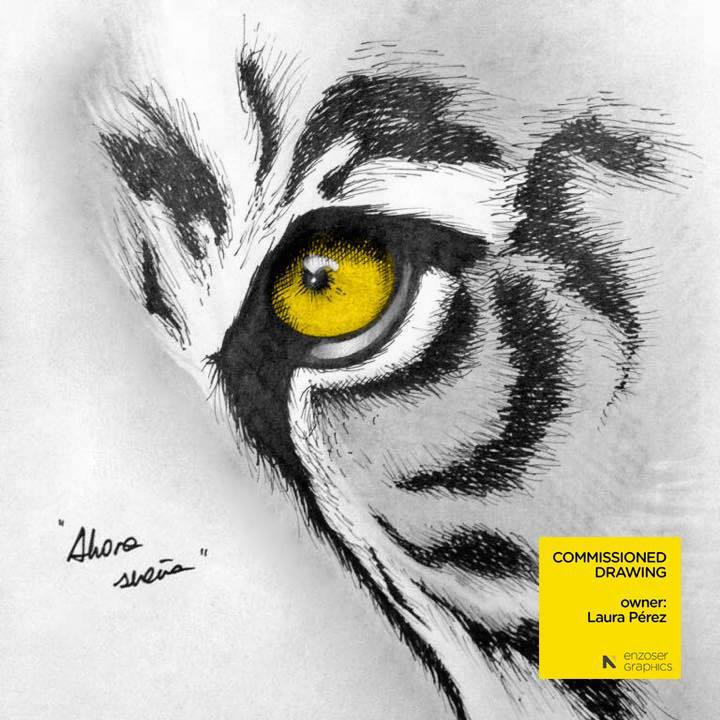 720x720 Enzoser Studio. On Twitter Tiger Eye Sketch. - Tiger Eye Sketch