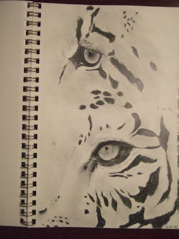 600x800 Tiger Face Sketch By Marymacinblack - Tiger Face Sketch