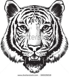236x264 The 44 Best Roaring Tiger Head Tattoo Drawing Images - Tiger Head Sketch