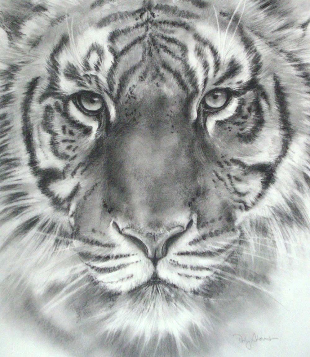 1000x1151 Tiger Head Drawings In Pencil Pencil Drawings In 2018 - Tiger Head Sketch